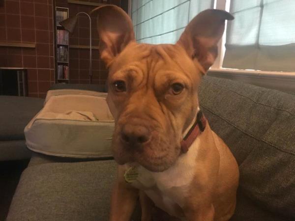 /Images/uploads/Humane Rescue Alliance/HRACalendarPhotoContest/entries/8995thumb.jpg